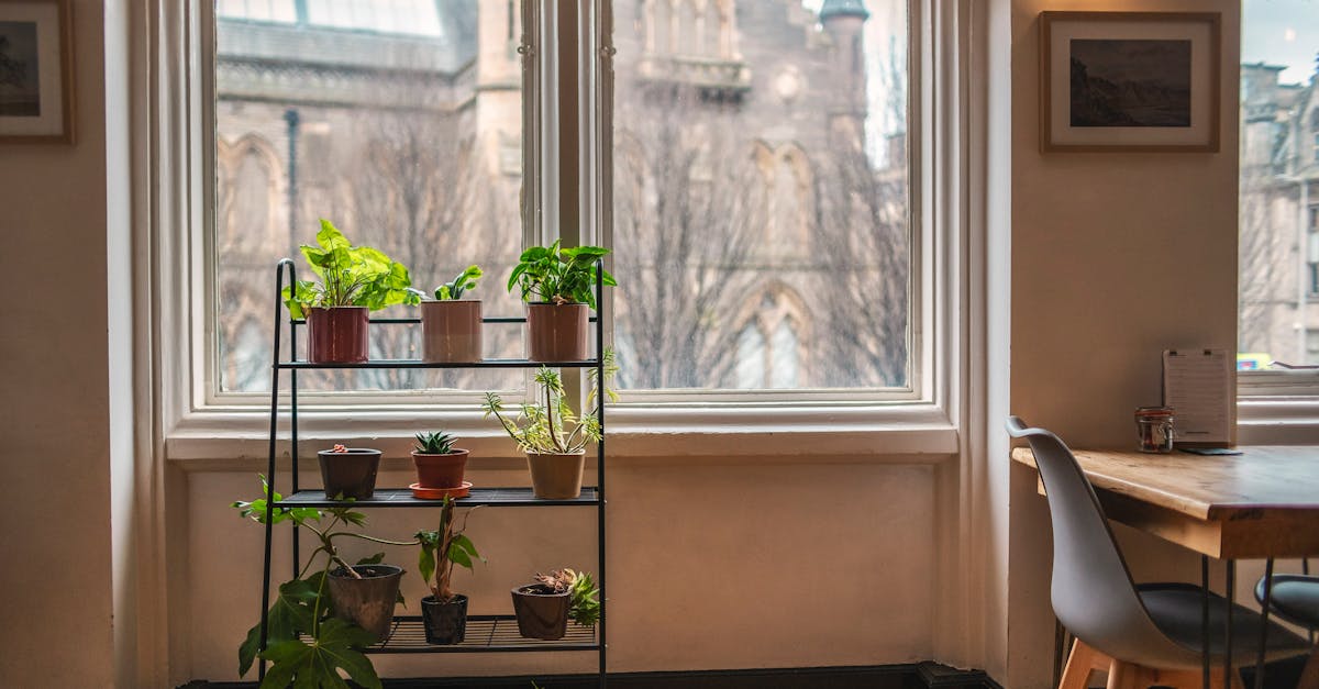 eco-friendly energy saving tips - A cozy home interior featuring potted plants by a sunlit window with a city view outside.