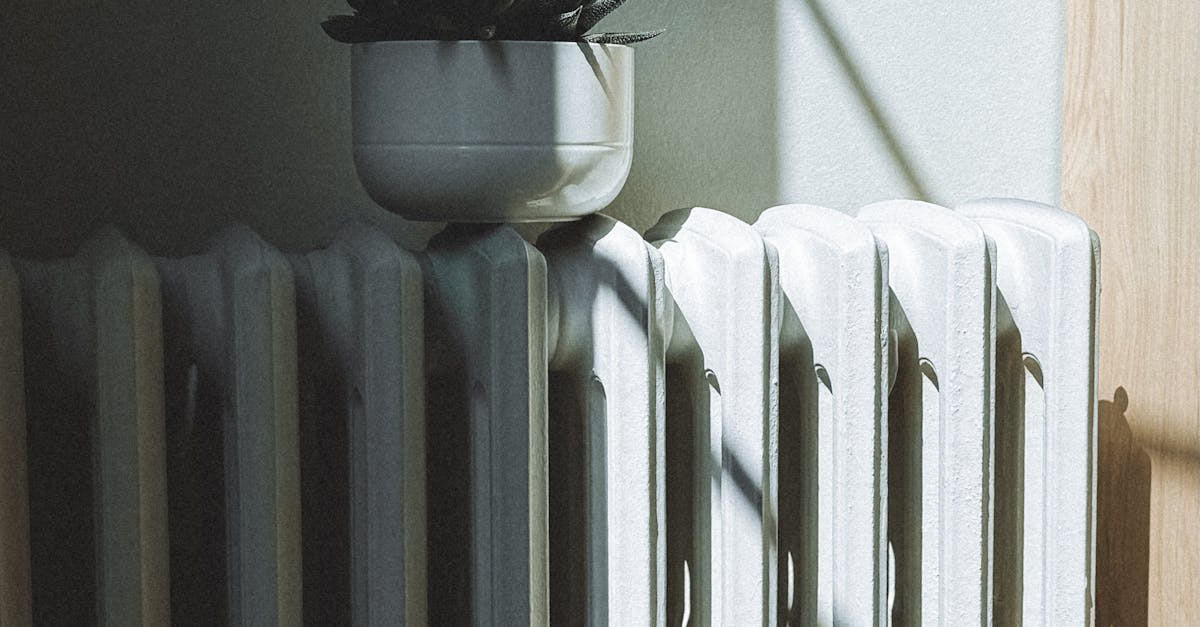 Green energy solutions - A succulent plant on a radiator with sunlight streaming through a window casting shadows.