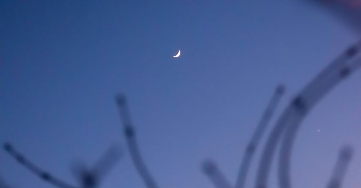 Attic conversion for extra income - A crescent moon with silhouetted tree branches against a twilight sky in London.