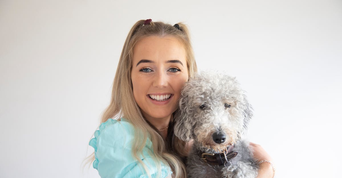 Cost-effective pet care - Happy woman with her cute Bedlington Terrier dog on a light background.
