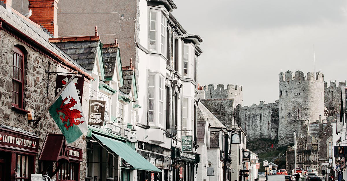 Carpooling - A vibrant scene of a pedestrian crossing in Conwy, Wales, with the iconic Conwy Castle in the background.