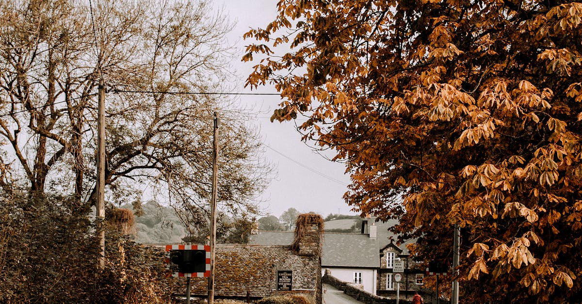 Draught Proofing UK Homes - Charming autumn view of a quiet street in Llanrwst, Wales with vibrant fall foliage.