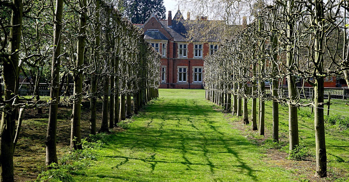 Renting out garden space - Beautiful row of pruned trees leading to a historic building in an English garden.