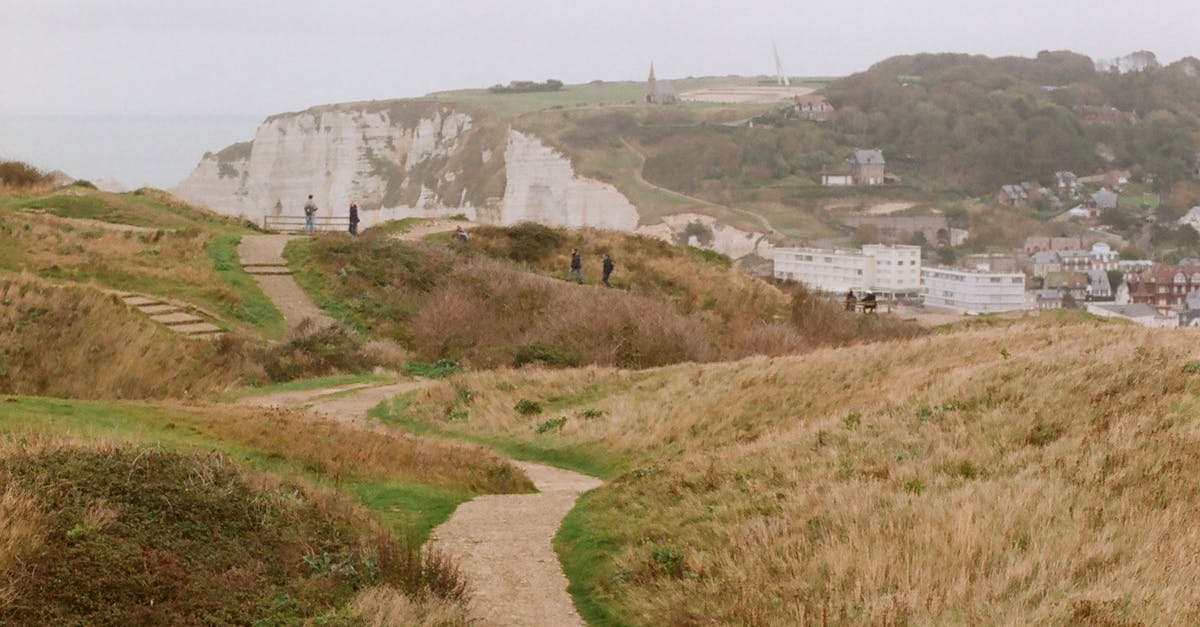 foraging in the UK - Explore a tranquil countryside path leading to iconic white cliffs under an overcast sky.