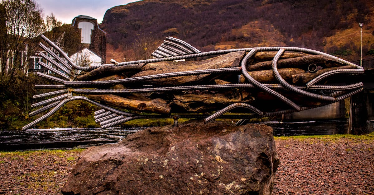 Metal Detecting in the UK - An iron and wood fish sculpture outdoors in scenic Highland, Scotland.
