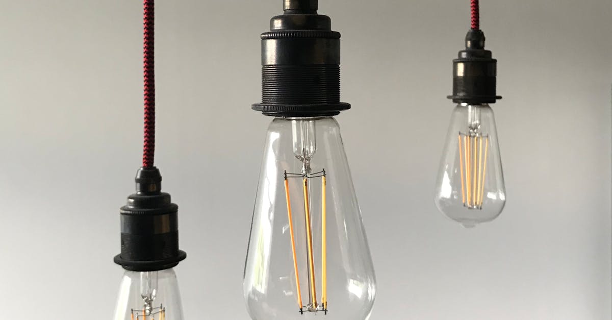 Energy-Efficient Lighting - Vintage light bulbs in different sizes hanging on ceiling against blurred white background