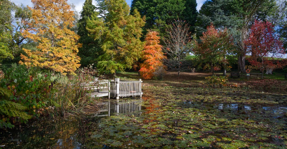 Garden Maintenance UK - Pond