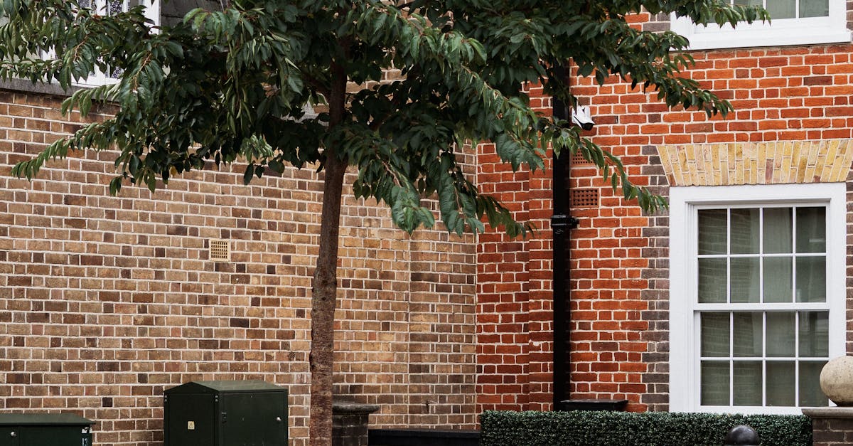 Garage Sales in the UK - A quaint urban scene showcasing a young tree against a classic brick building facade in London.